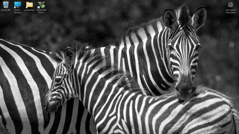 μάθημα φωτογραφίας άγριας ζωής